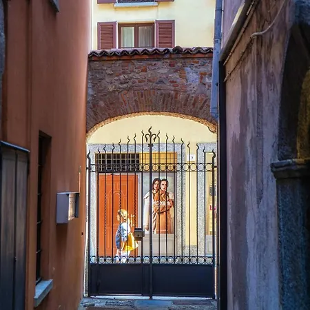 Cesare 22 By 